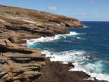 Wild Scenery texture (ID:ffagg24782)