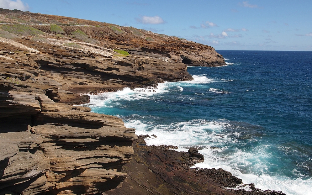 Wild Scenery texture