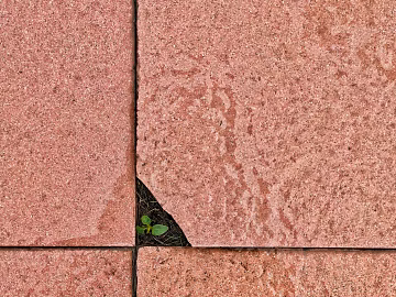 Tile Red Tile texture (ID:ffagg90878)