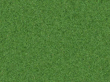 Grassland texture (ID:ffacg28498)