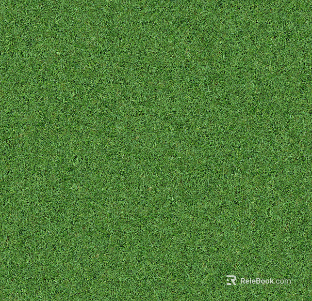 Grassland texture