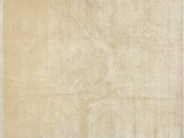 Plain pattern carpet texture (ID:ffacg38176)