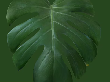 leaves texture (ID:ffaaf9742)