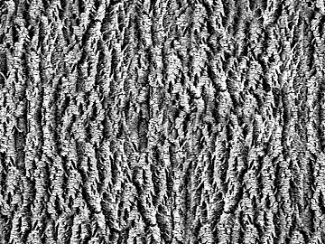 Black and White Bump texture (ID:ffajg79631)