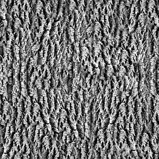 Black and White Bump texture