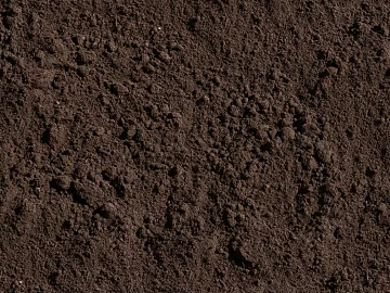 Mud 3d model