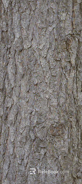bark texture