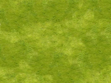 Turf texture (ID:ffacg88257)
