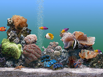 Fish tank texture (ID:ffabg51359)