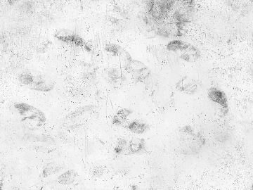 Fingerprint texture (ID:ffaag15418)