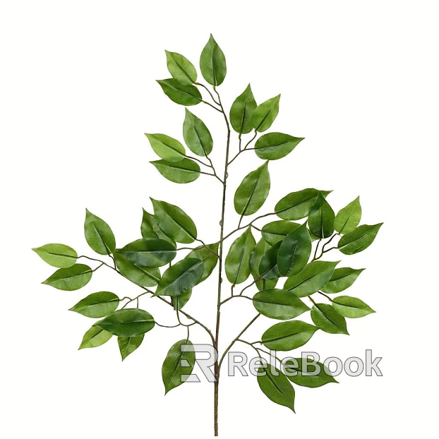 leaves texture