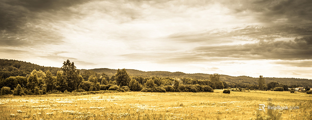 Wild Scenery texture