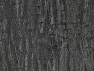 bark texture (ID:ffacg84882)