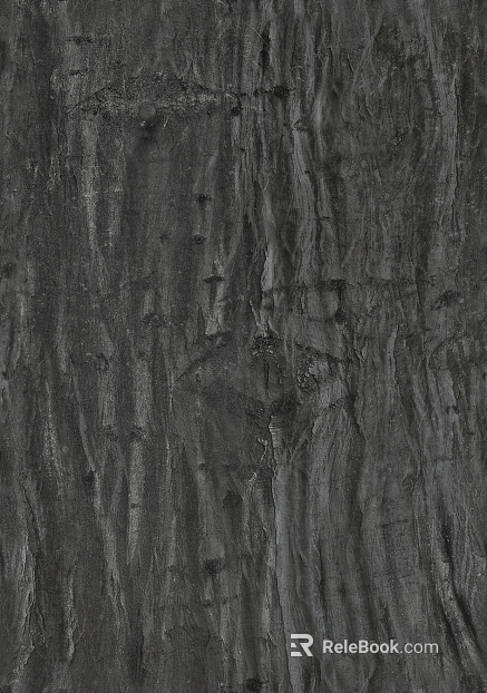 bark texture