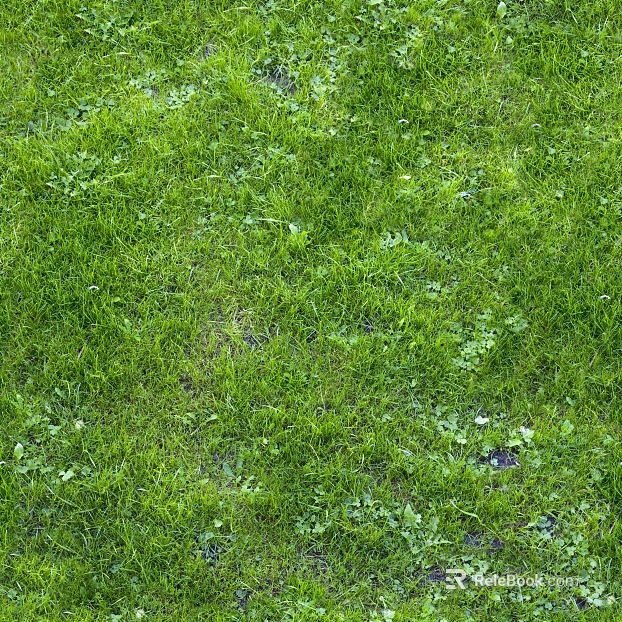 Turf texture