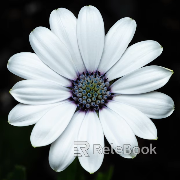Flowers texture