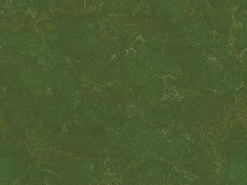 Dark green turf outdoor ground texture (ID:ffaeh872076)