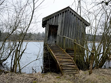 Wooden House texture (ID:ffach789984)