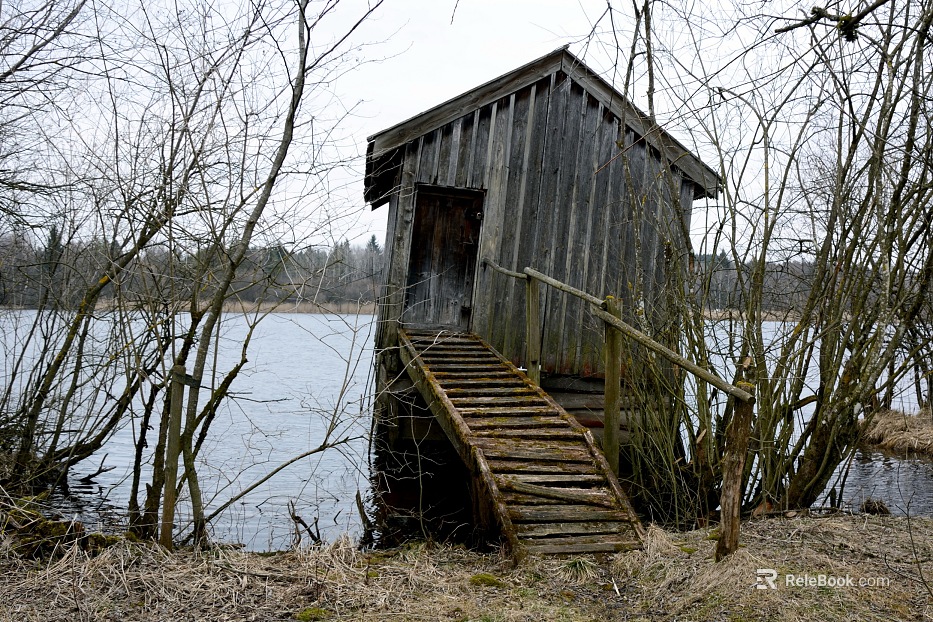 Wooden House texture