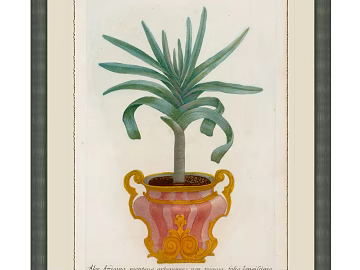 Plant painting texture (ID:ffabg63178)