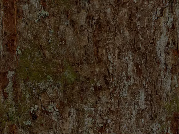 bark texture (ID:ffacg49254)