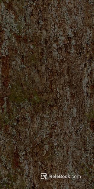 bark texture