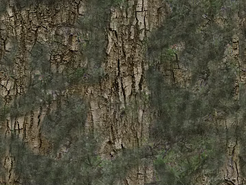 bark 3d model