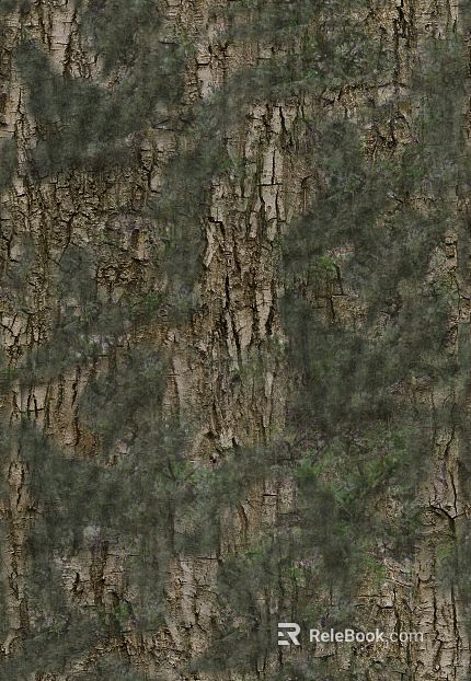 bark texture