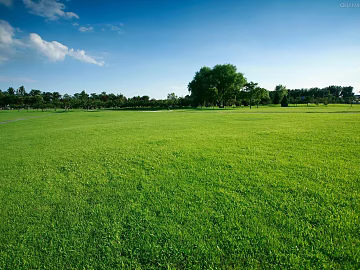 Wild Scenery texture (ID:ffach424441)