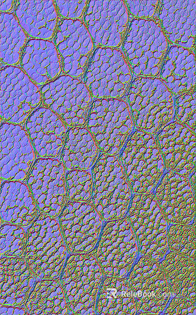 Normal Bump texture