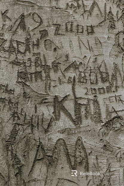 bark texture