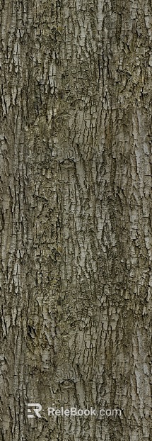 bark texture