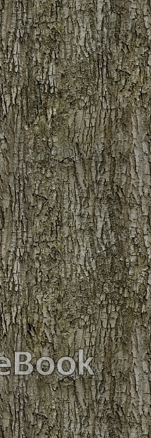 A close-up of a weathered, brown tree bark with deep, vertical cracks and moss growth, set against a blurred green foliage background.