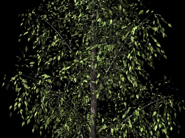 Plants texture (ID:ffajg37928)