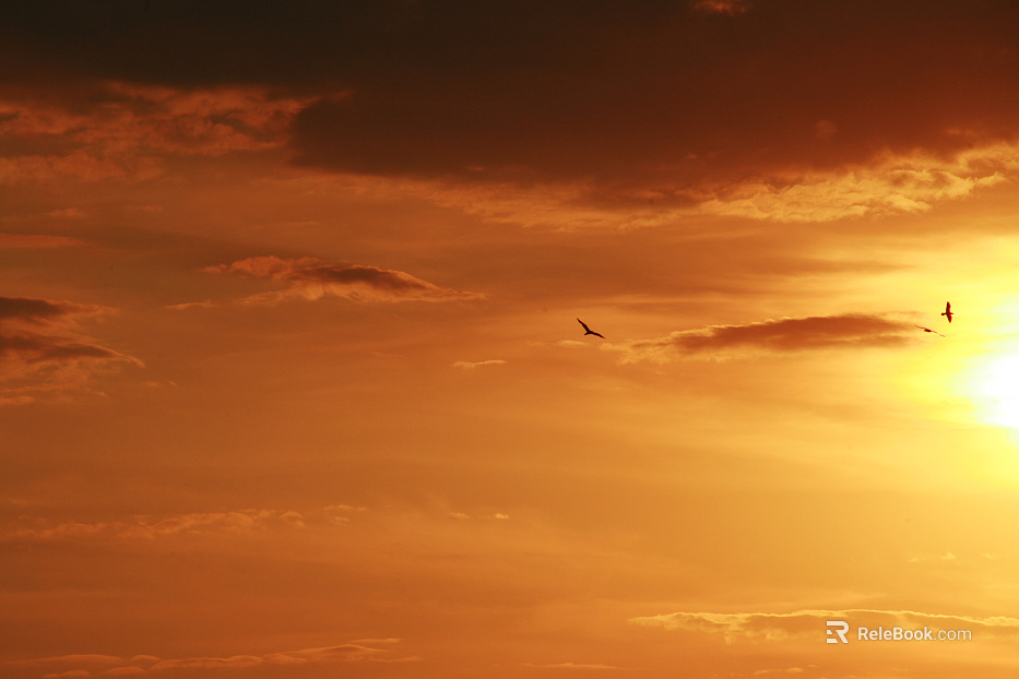 Background Sky Wild Sky texture