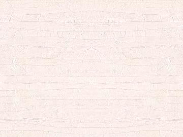 Texture Paint texture (ID:ffach935868)
