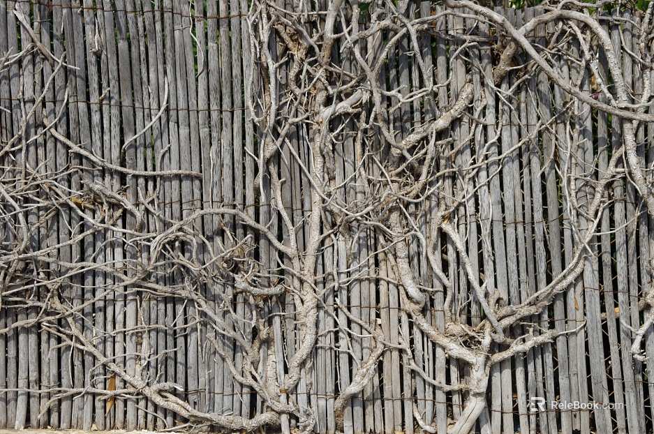 Trunk texture