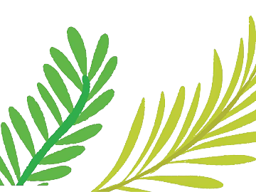 plant pattern texture (ID:ffacg67051)