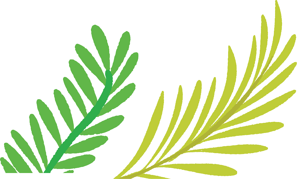 plant pattern texture