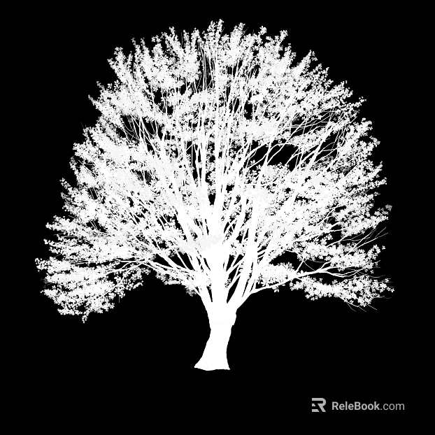 Plant Black and White Map texture