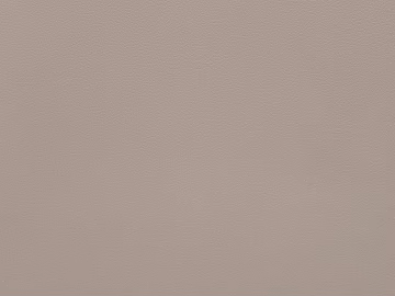 Sofa Furniture Leather texture (ID:ffach379078)