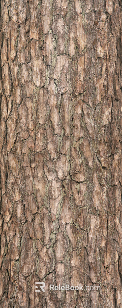bark texture