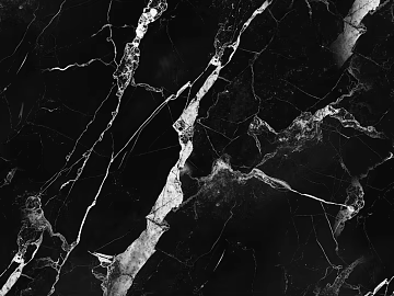 Italian minimalist black and white root marble texture (ID:ffach476738)