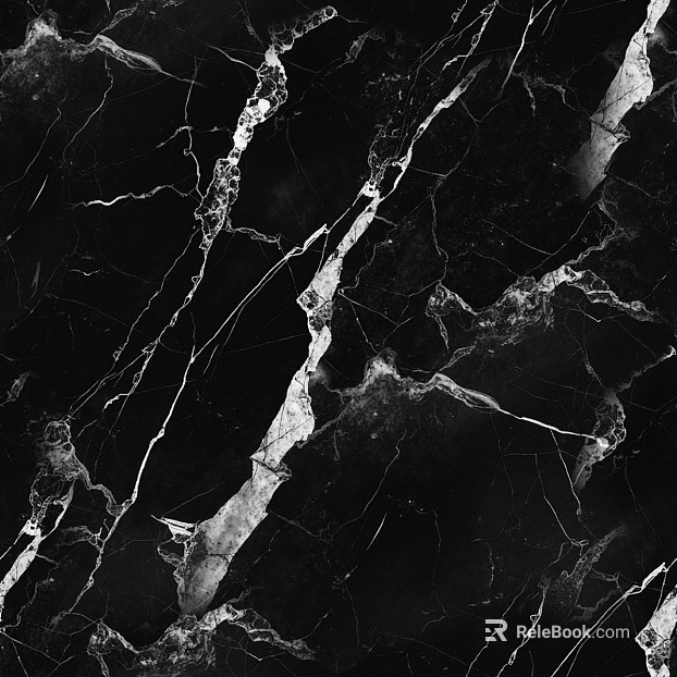 Italian minimalist black and white root marble texture