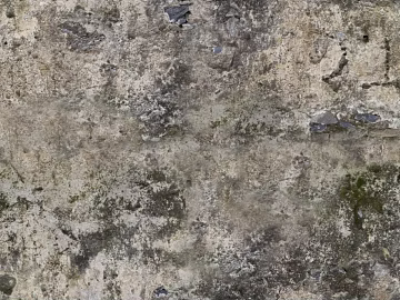 Taupe dilapidated cement wall texture (ID:ffaeh602386)