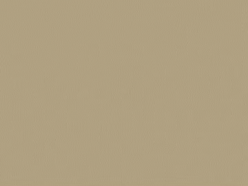 fine grain leather texture (ID:ffagg99748)