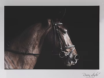 Animal painting texture (ID:ffabg66909)