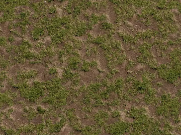 Grassland texture (ID:ffaag77028)