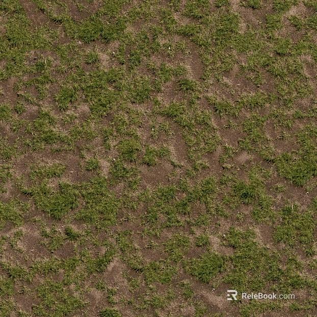 Grassland texture
