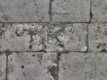 Stone Paving 3d model